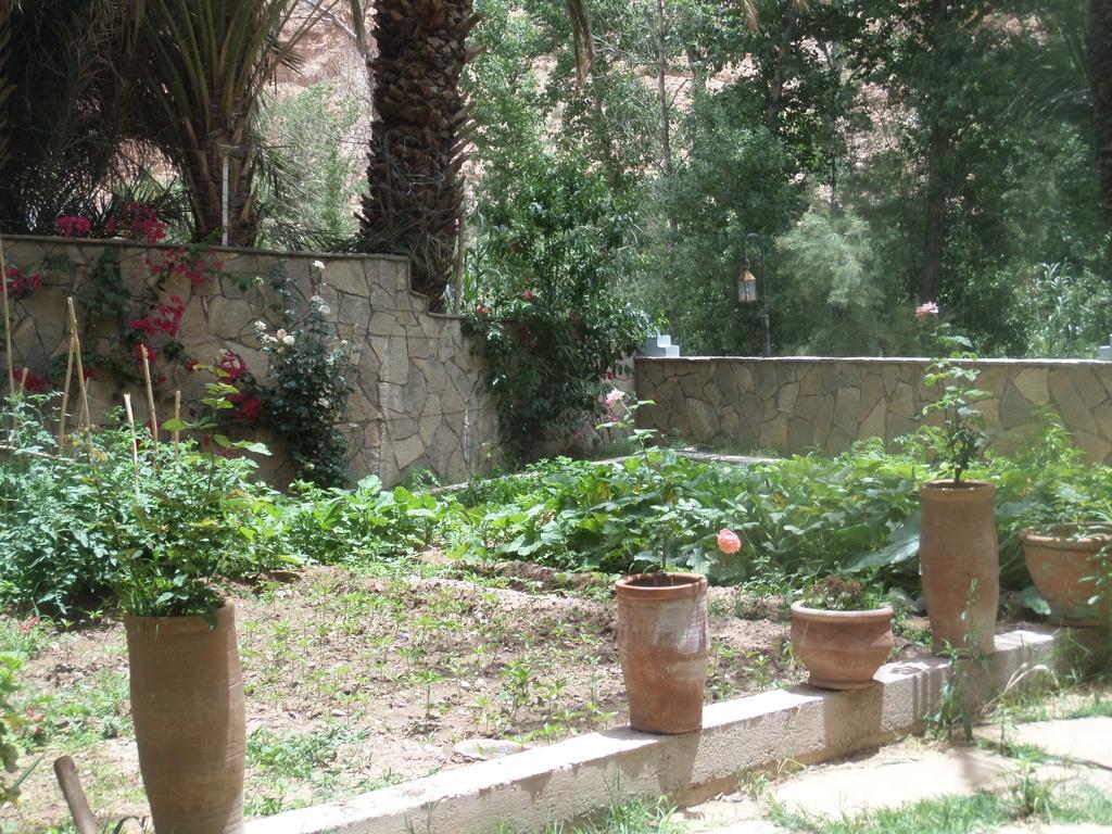 Kasbah Restaurant Amazir Bed and Breakfast Tinghir Εξωτερικό φωτογραφία